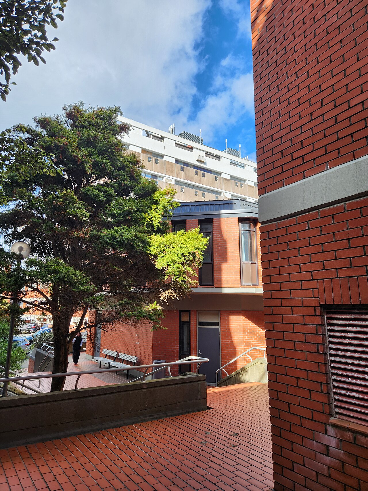 View from the Hugh Mackenzie Building